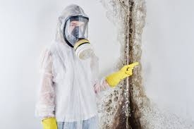 Best Basement Mold Removal in Crewe, VA